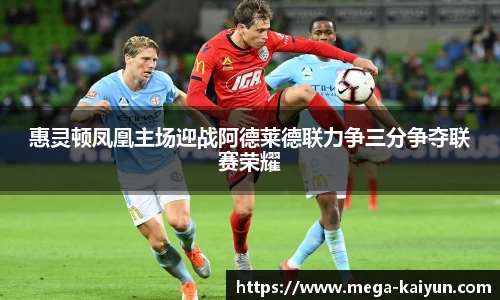 惠灵顿凤凰主场迎战阿德莱德联力争三分争夺联赛荣耀